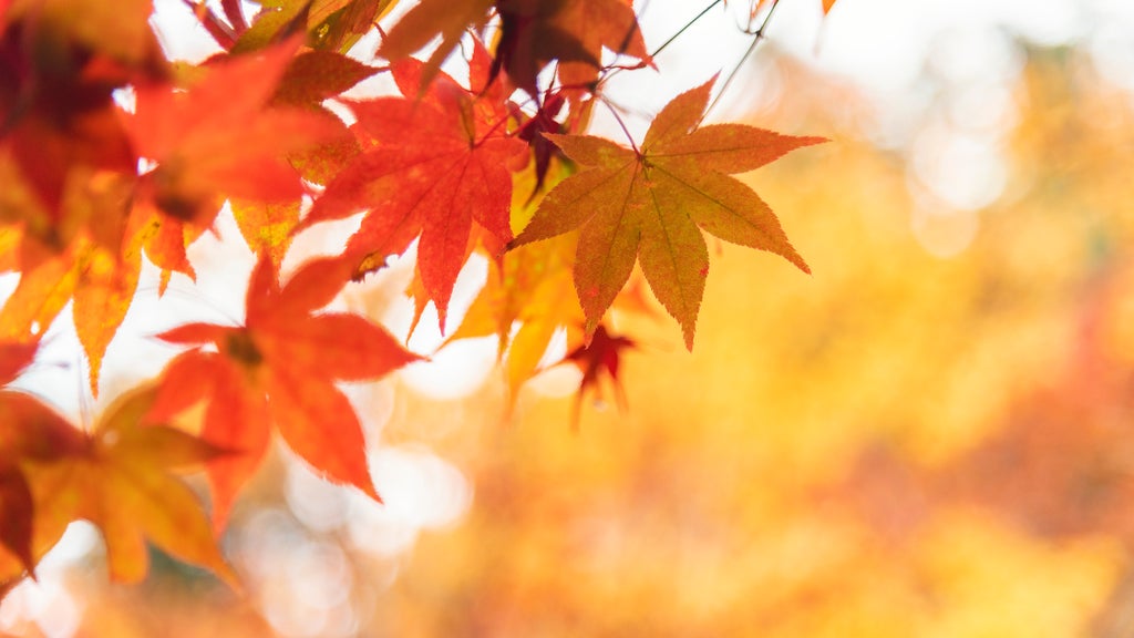 More sunny, mild late October weather in Minnesota Tuesday — WCCO / CBS Minnesota, Lake Mary Business news