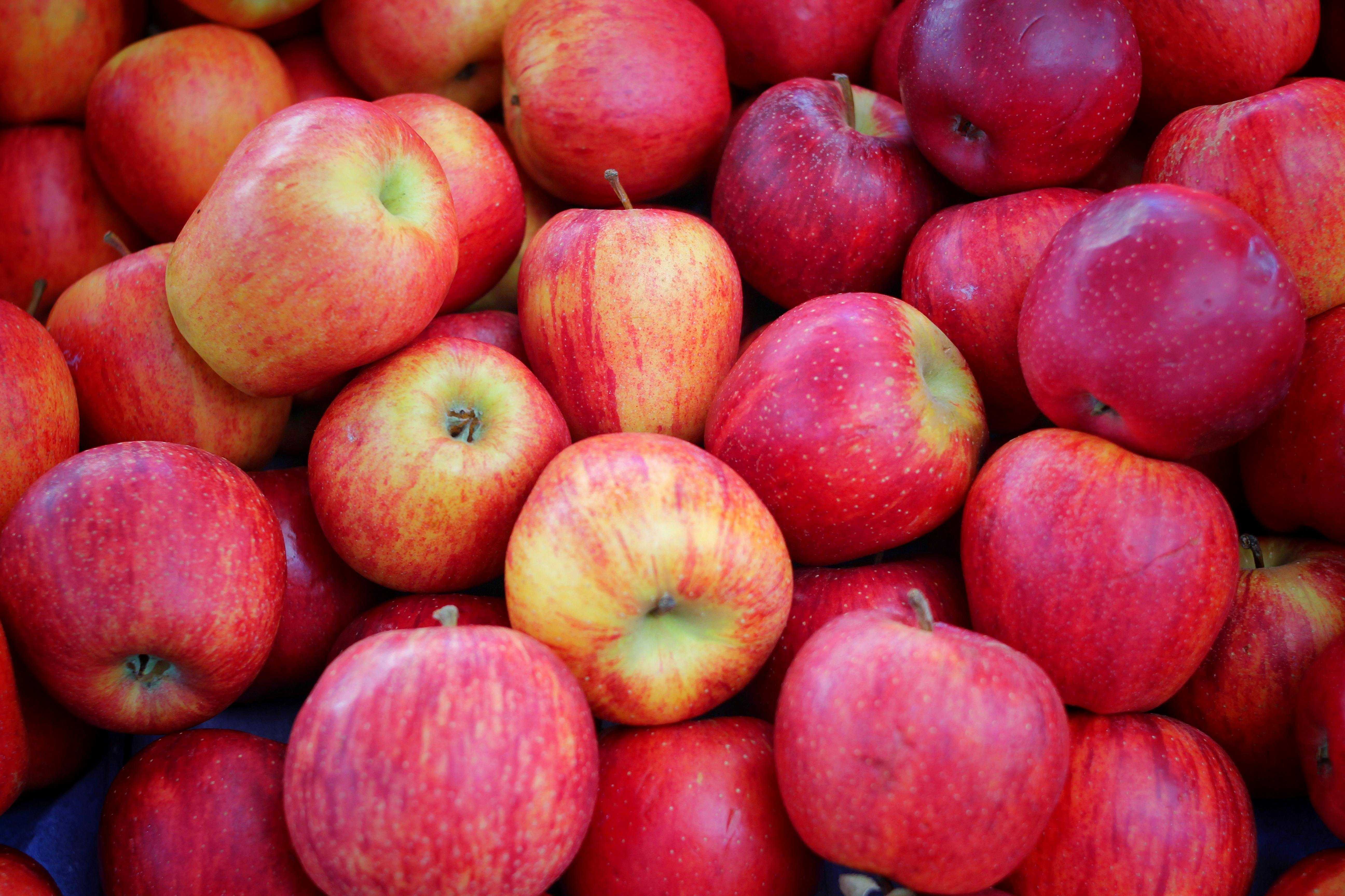 What happens if you eat an apple every day? A dietitian explains — WESH 2 Orlando, Lake Mary Health news