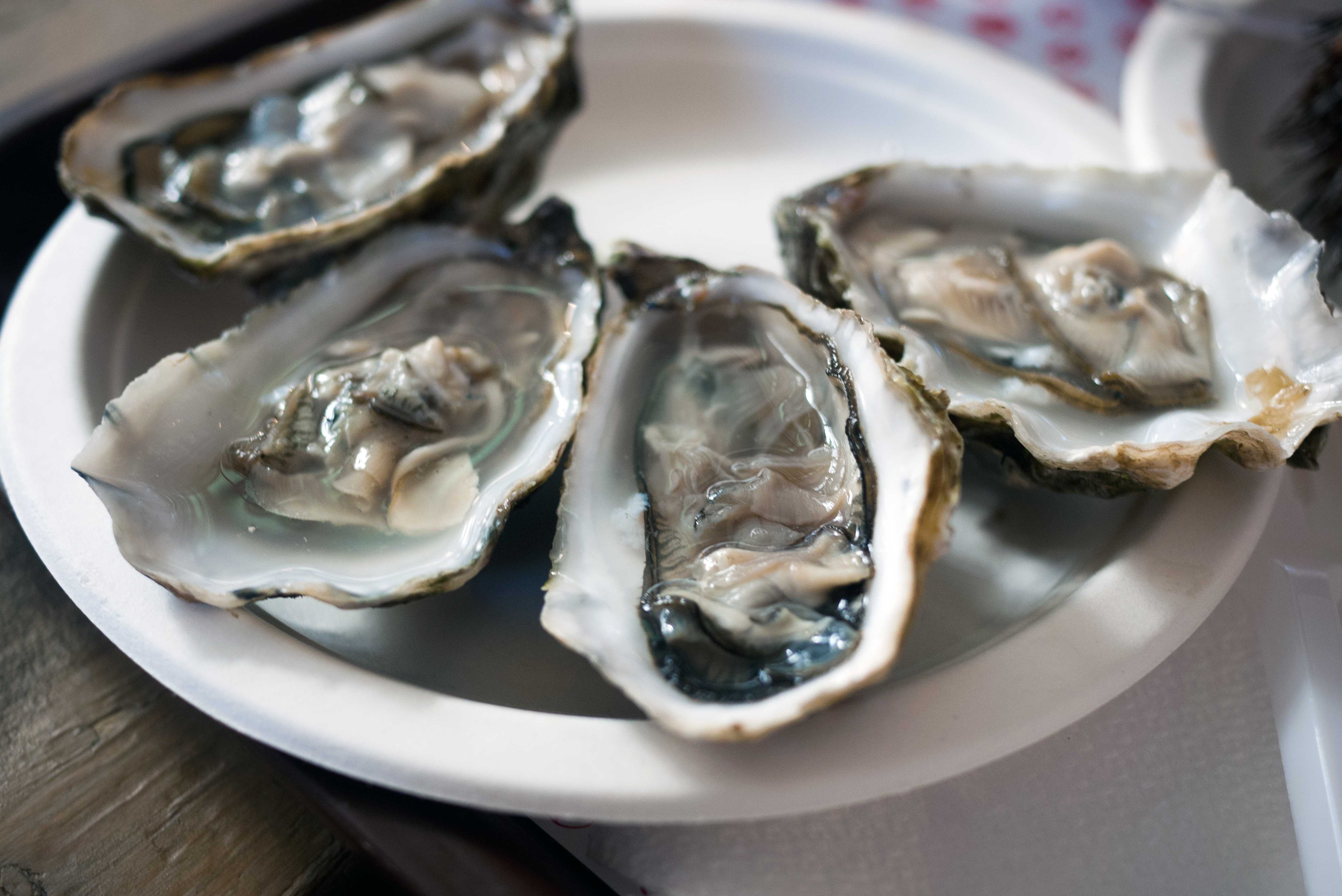 27 People Are Sick & 5 Hospitalized In A Multistate Raw Oyster Recall — WESH 2 Orlando, Lake Mary Dining news