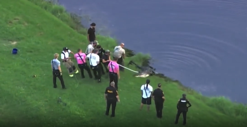 Winter Garden alligator attack victim died from blunt force injury, drowning, medical examiner finds — WESH 2 Orlando, Lake Mary Health news