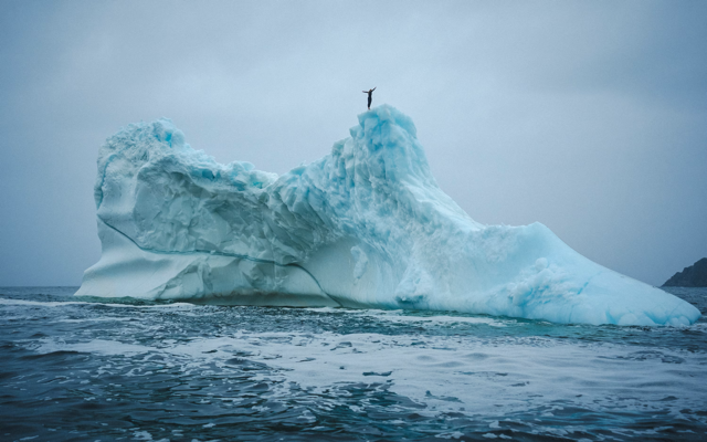 Cliff diver Molly Carson makes history, becomes first woman to dive off iceberg — WESH 2 Orlando