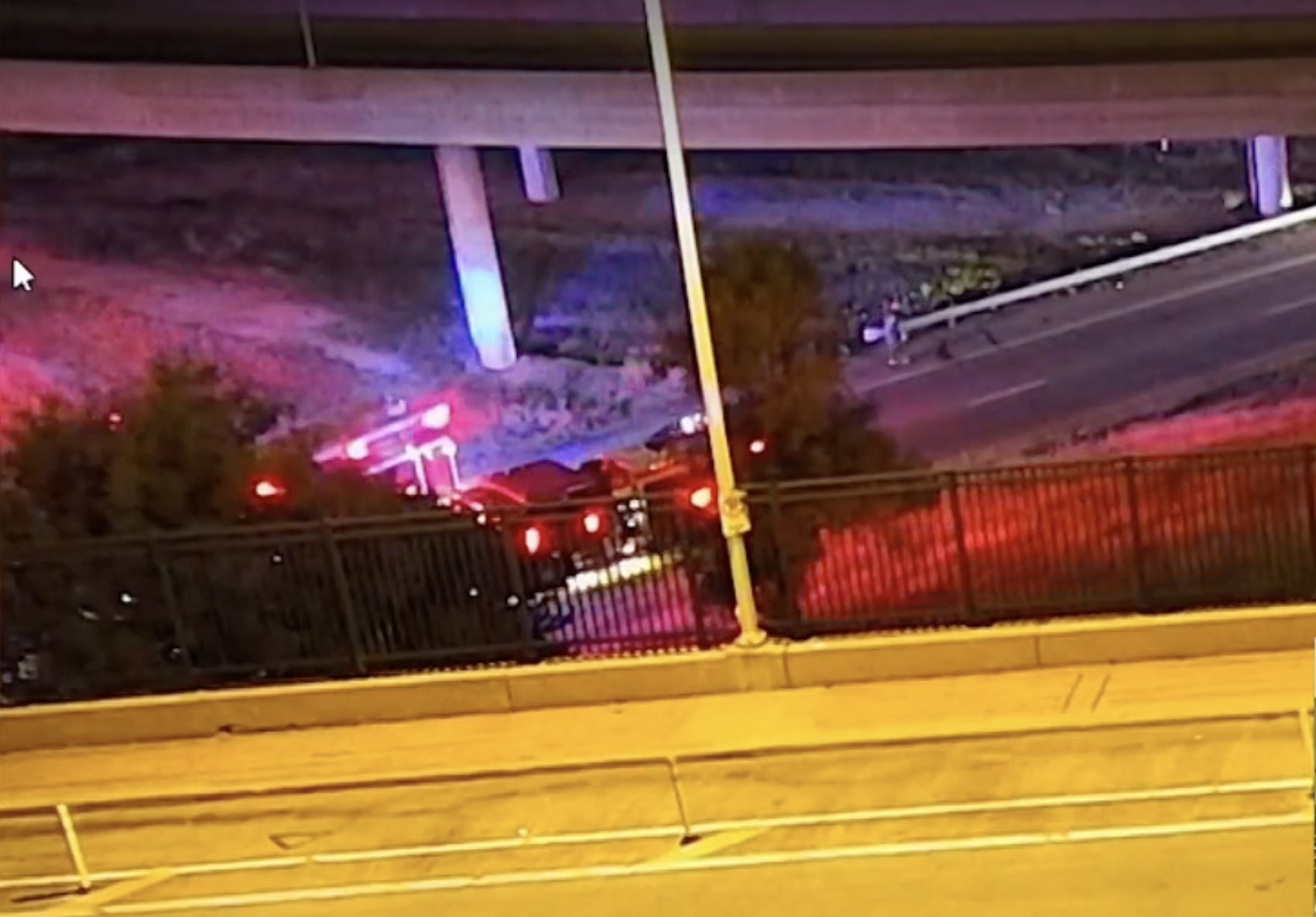Cows roam downtown Kansas City after truck overturns, killing dozens of them — WESH 2 Orlando, Lake Mary Business news