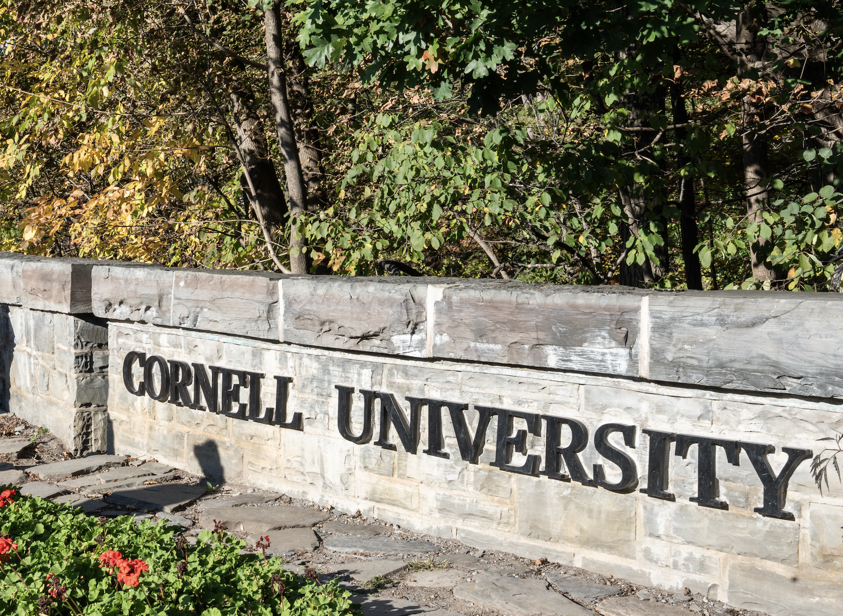 Cornell faculty to move forward with no-confidence vote over handling of sexual assault allegations — WESH 2 Orlando