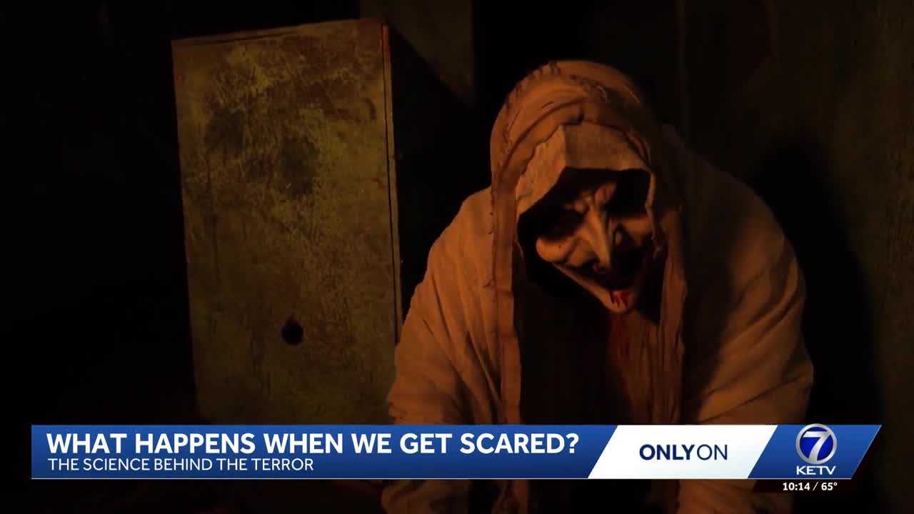 The science of being scared: What happens to your brain, body when fear strikes? — WESH 2 Orlando, Lake Mary Community news