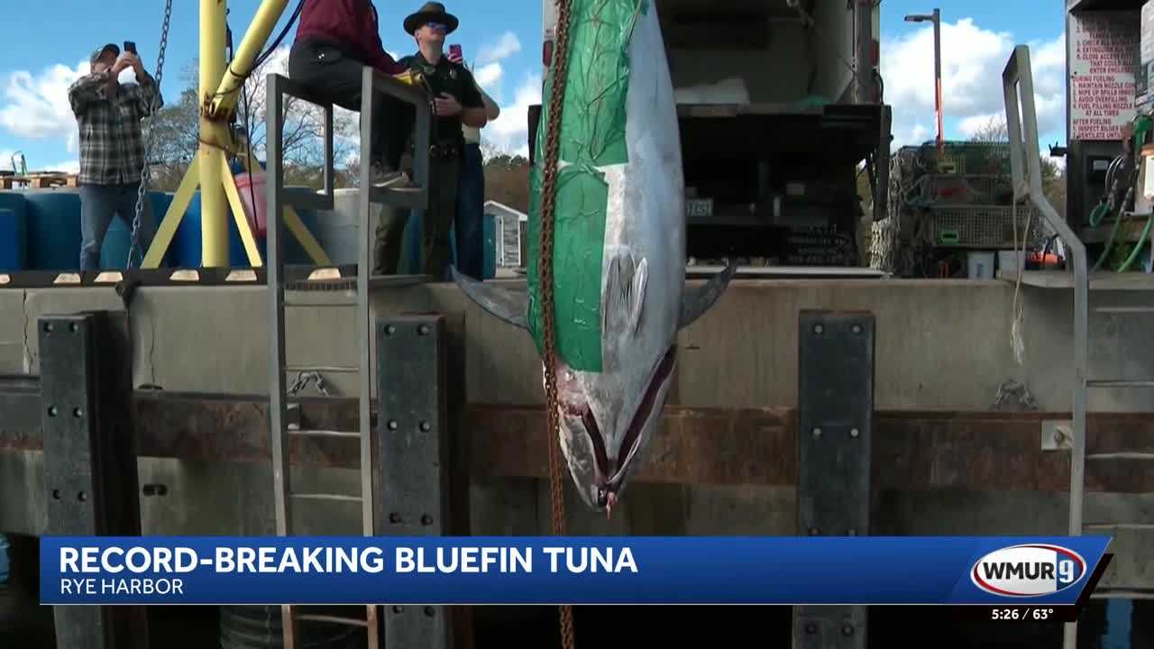 'Something that you dream of': 1,116-pound bluefin tuna catch sets a record — WESH 2 Orlando, Lake Mary Community news