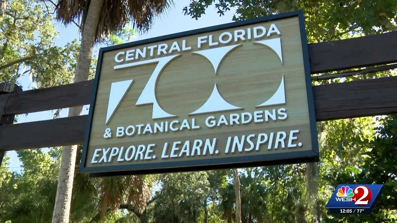 Officials gather to discuss new bipartisan bill to ban sloth imports — WESH 2 Orlando, Lake Mary Community news