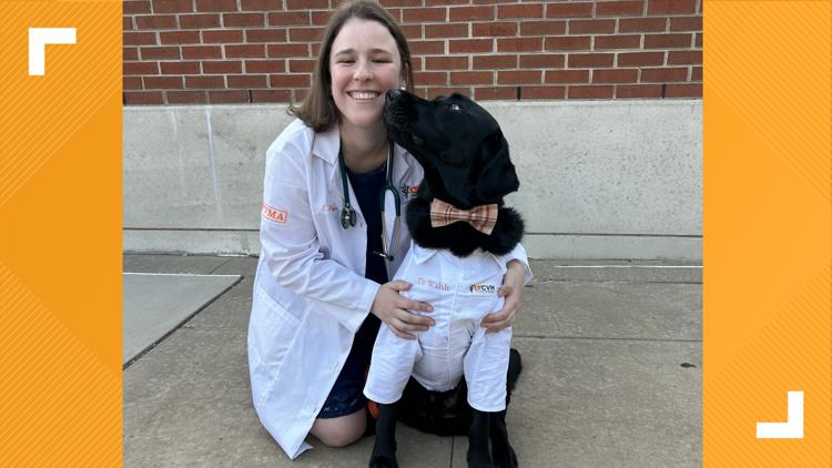 'Dogtor Walsh' reports for duty on the UT campus — KENS 5 (San Antonio), Lake Mary Schools news