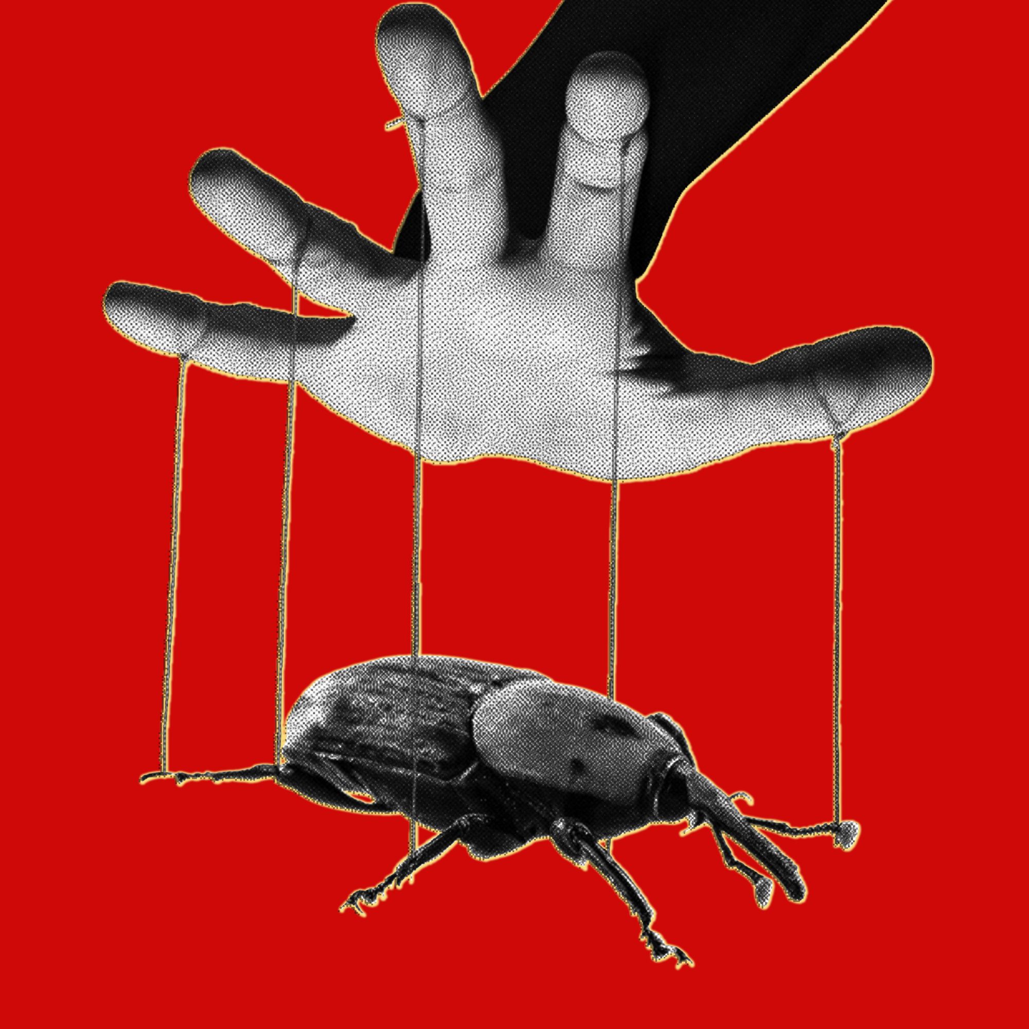The PHP Meltdown Shows How AI Makes Bugs More Exploitable — Wired, Lake Mary Technology news
